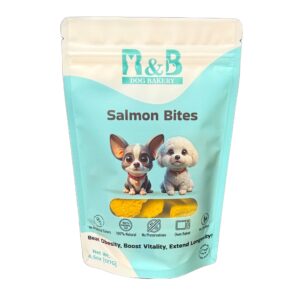 Salmon Bites