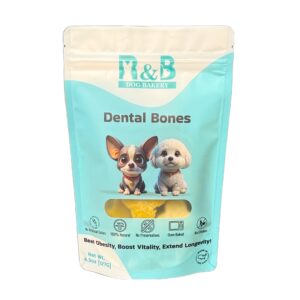 Dental Bones