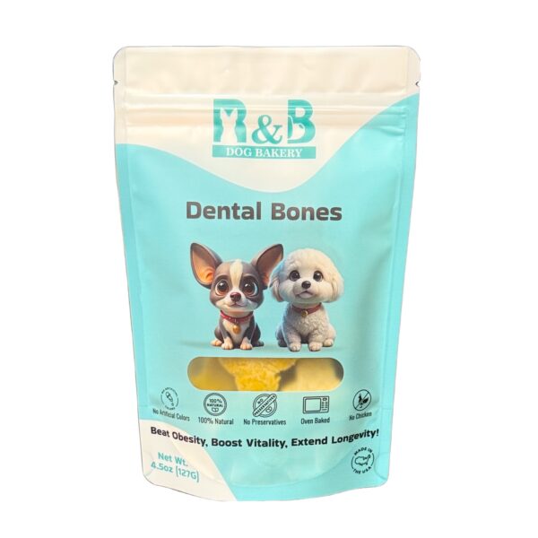 Dental Bones