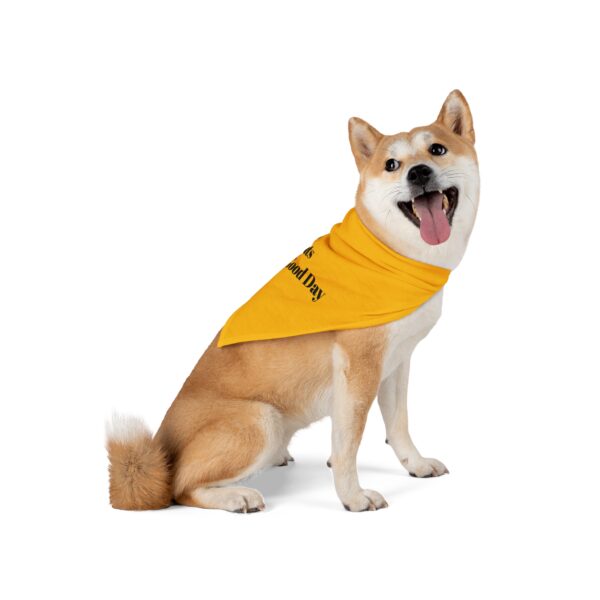 Pet Bandana - Image 10