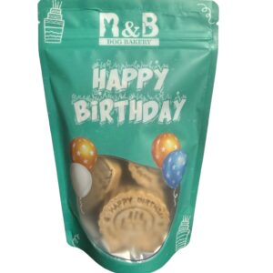 Birthday Treat Bag