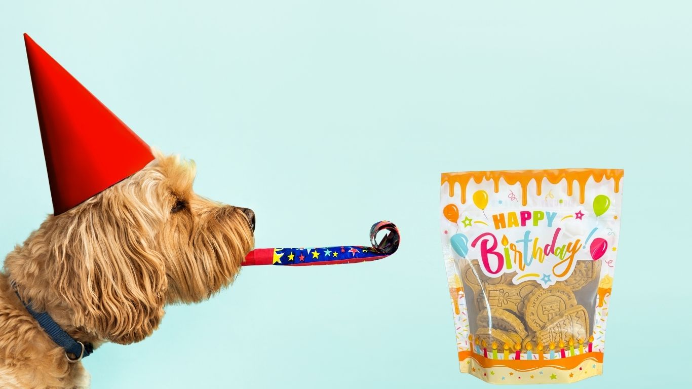 R&B Birthday Pawty Club- Yearly Subscription Box - Image 5